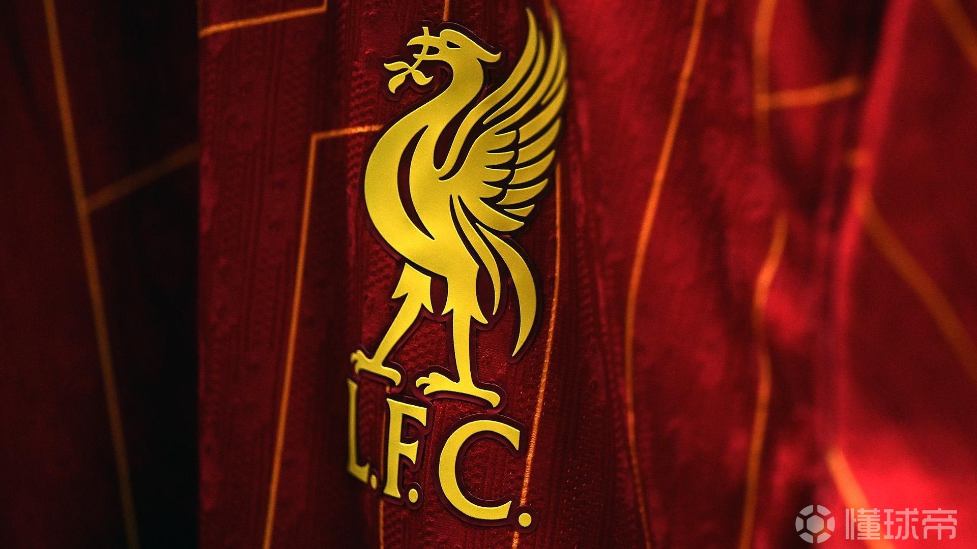 经验红利 经验红利